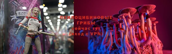 не бодяженный Богородицк