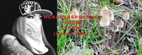 не бодяженный Богородицк